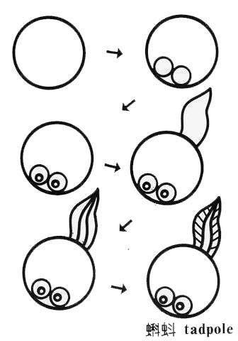 蝌蚪简笔画 蝌蚪简笔画彩色