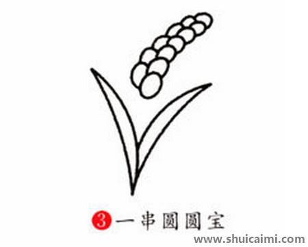 麦穗儿童简笔画