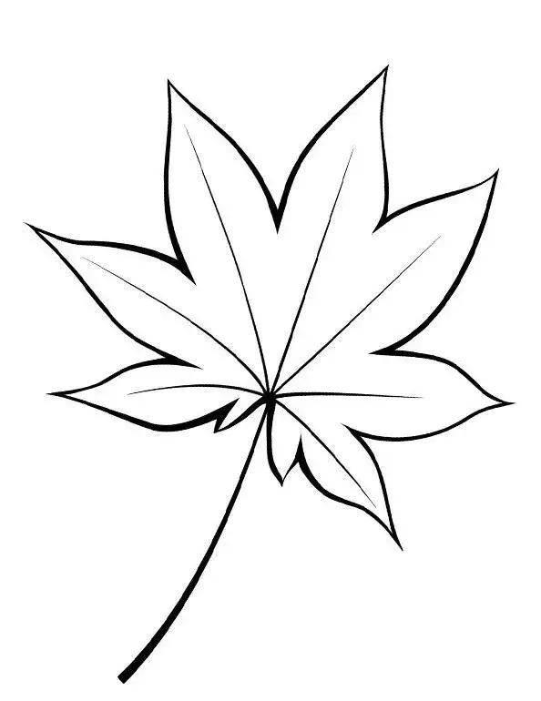 叶子简笔画 叶子简笔画彩色