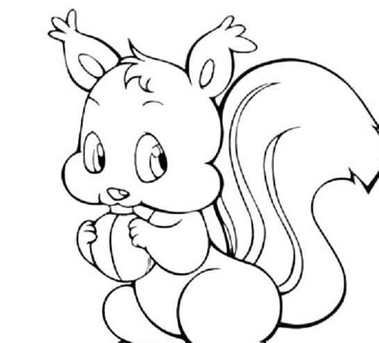 小松鼠简笔画 小松鼠简笔画可爱又简单