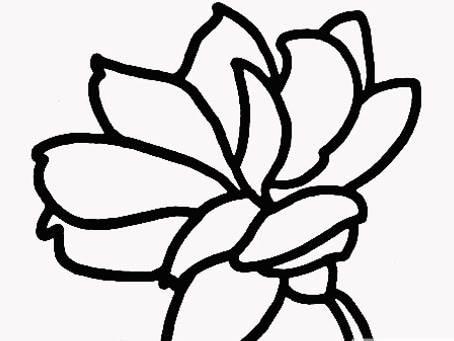 茉莉画简笔画图片大全 茉莉画简笔画图片大全彩色