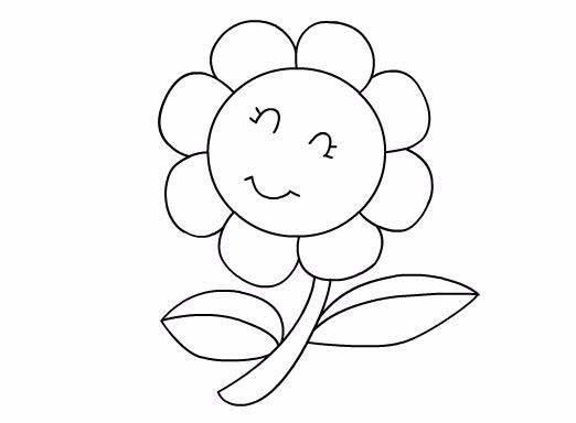 太阳花简笔画 太阳花简笔画简单又好看