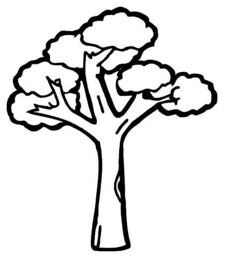 树的简笔画 树的简笔画大树