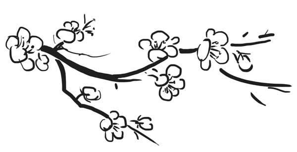 梅花树简笔画图片大全 梅花树简笔画图片大全儿童画