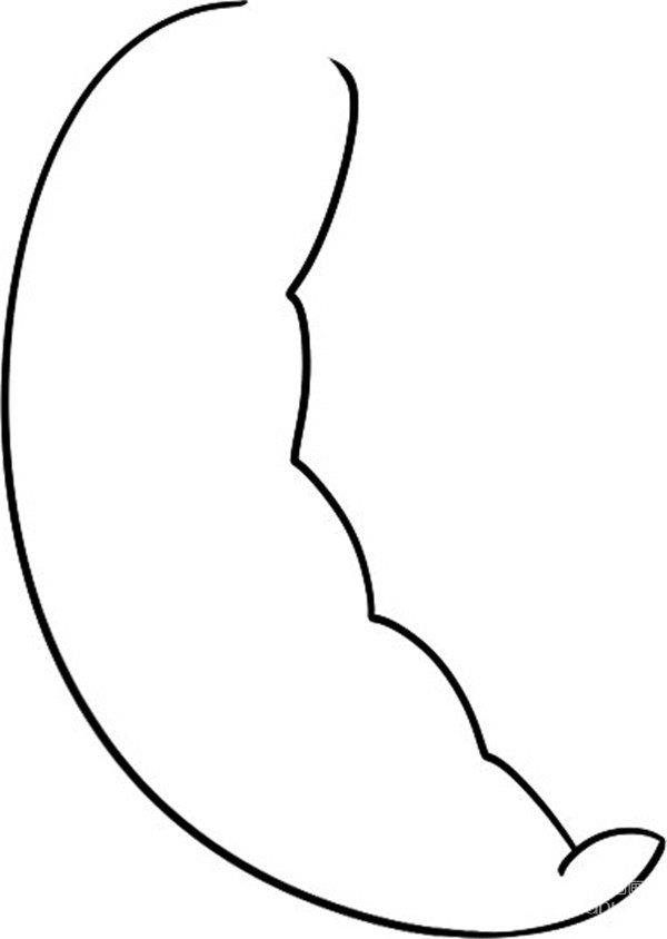 弯弯的豆荚简笔画怎么画 弯弯的豆荚简笔画步骤