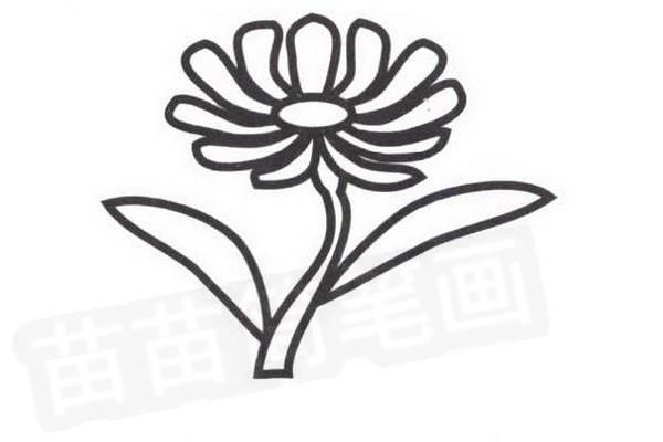 雏菊简笔画 雏菊简笔画大全