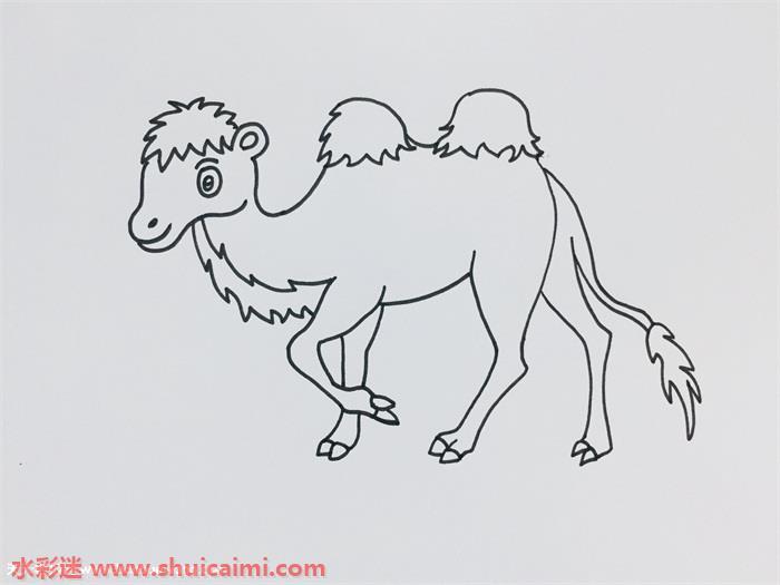 骆驼怎么画 骆驼简笔画画法