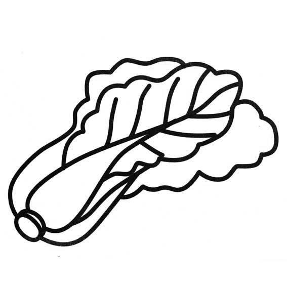 蔬菜简笔画 蔬菜简笔画图片带颜色