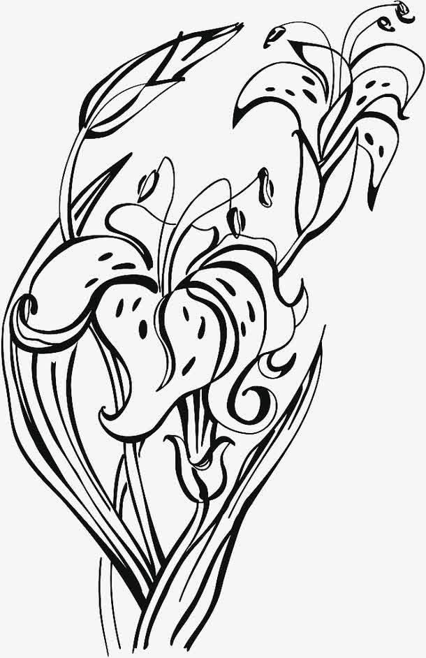 线描装饰线条简笔画 线描装饰线条简笔画图片大全