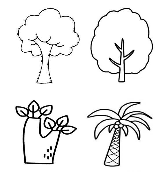 一棵大树简笔画 一棵大树简笔画松树