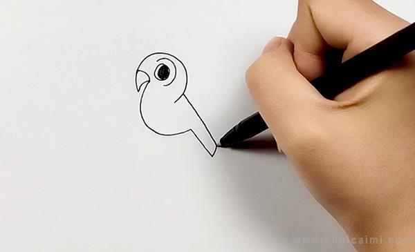 宠物鸟简笔画怎么画 宠物鸟简笔画顺序