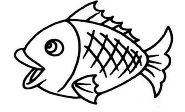 鱼简笔画 鱼简笔画简单又漂亮