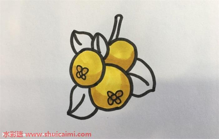 枇杷怎么画 枇杷简笔画简单易画彩色