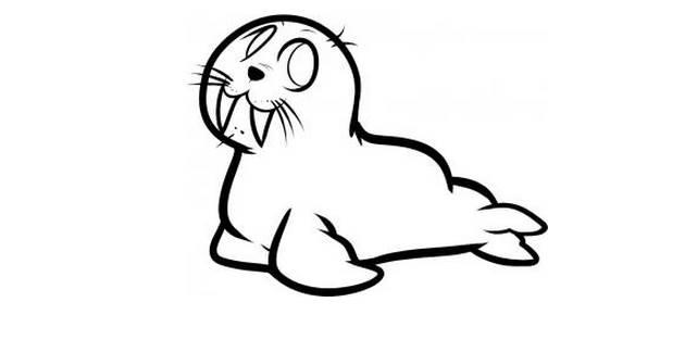 海象简笔画图片大全 海象简笔画图片大全大图