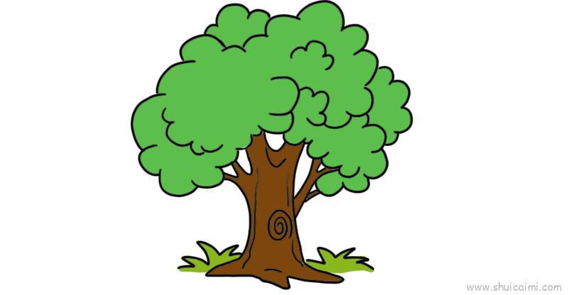 大树树干儿童画怎么画 大树树干简笔画图片大全