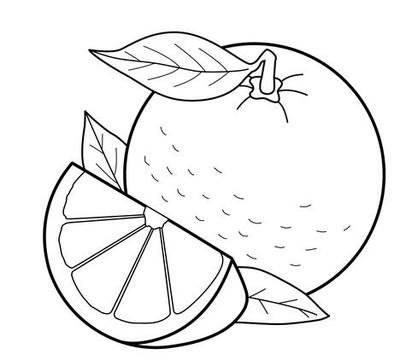 橙子简笔画 橙子简笔画带颜色