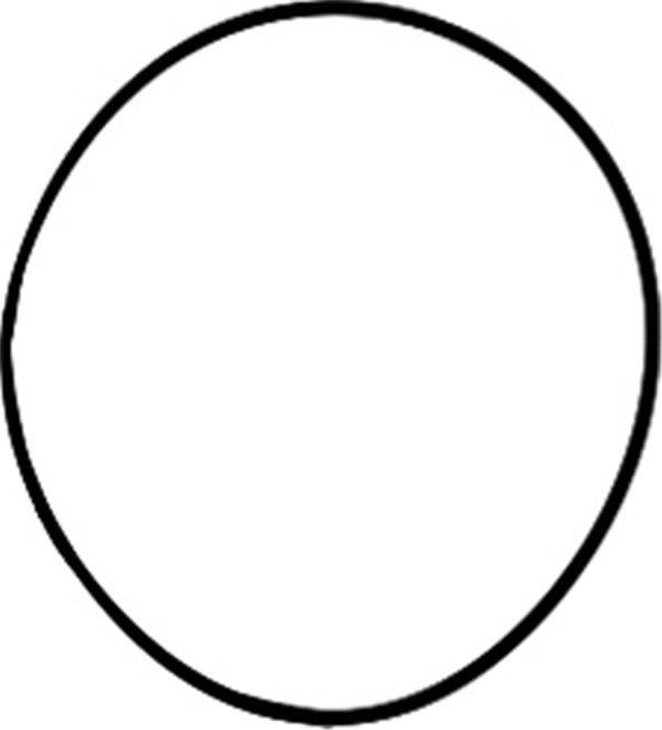 害羞的花儿简笔画怎么画 害羞的花儿简笔画顺序