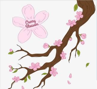 桃花简笔画图片大全 桃花简笔画图片大全带颜色