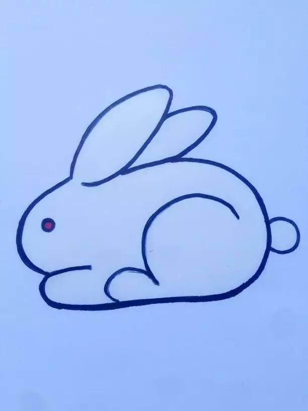 简笔画小动物 简笔画小动物图片大全