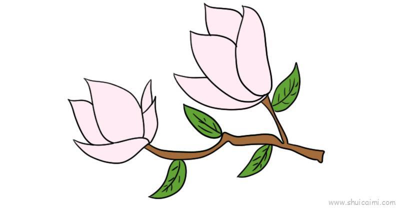 玉兰花儿童画怎么画 玉兰花简笔画好看