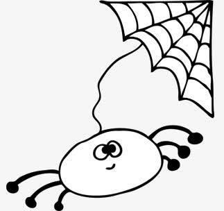 蜘蛛简笔画图片大全 儿童蜘蛛简笔画图片大全