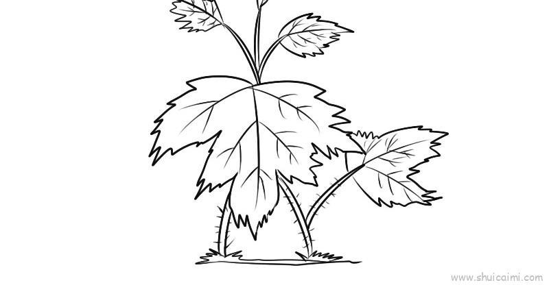 河马草儿童画怎么画 河马草简笔画简单