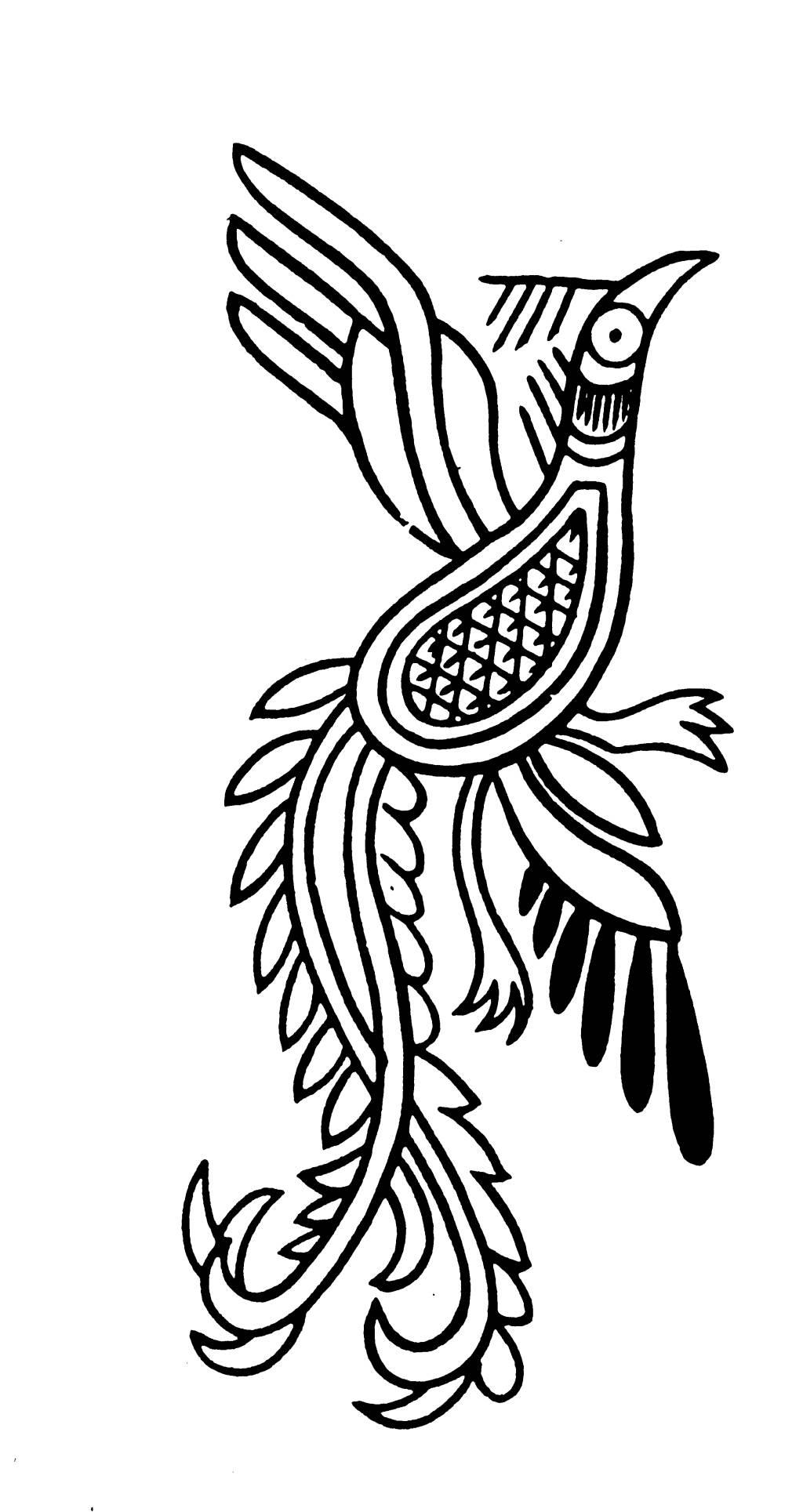 凤凰的简笔画图片大全 凤凰的简笔画图片大全带颜色