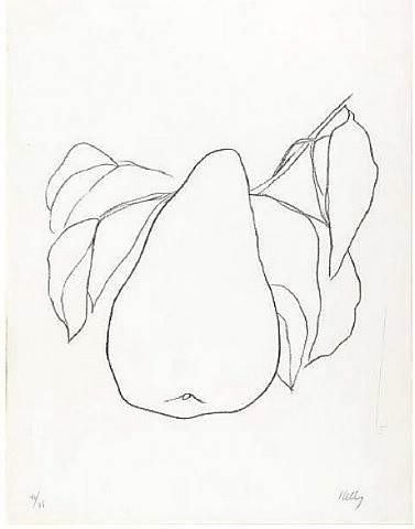 柚子简笔画 柚子简笔画图片大全