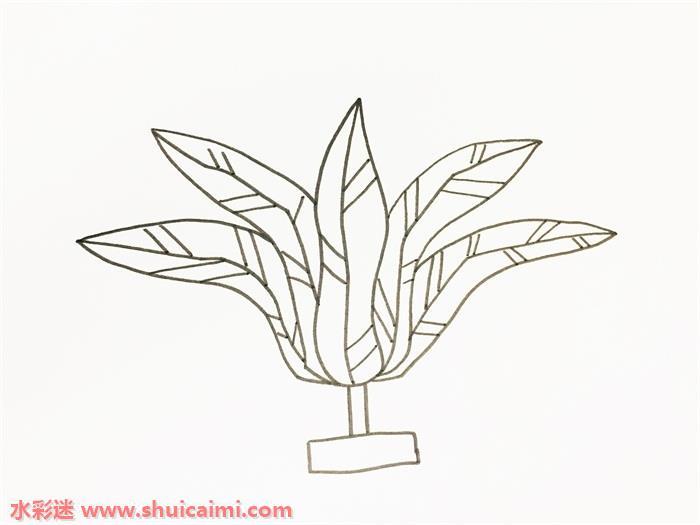 毽子怎么画 毽子简笔画图片带颜色