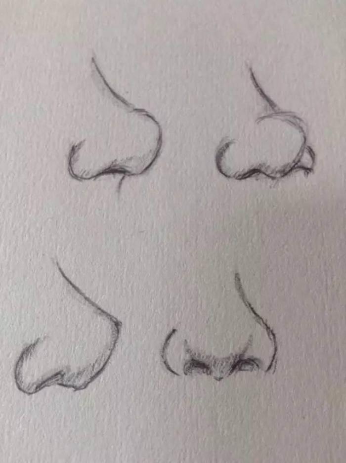 鼻子 简笔画 鼻子简笔画彩色