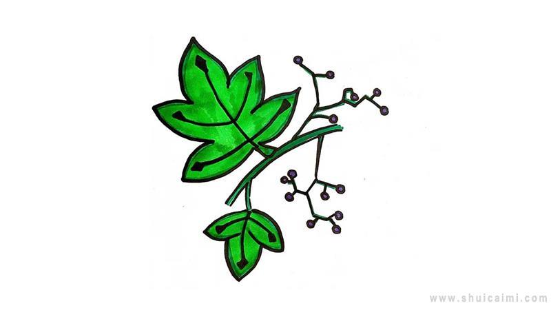 爬山虎简笔画怎么画 爬山虎简笔画步骤