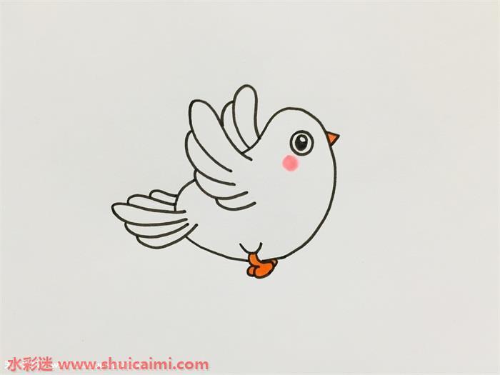 白鸽简笔画怎么画简单易画彩色