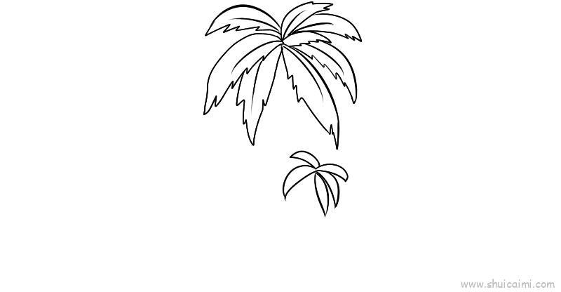 椰树儿童画怎么画 椰树简笔画顺序