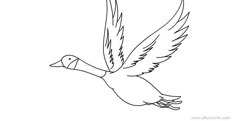 动物迁徙儿童画怎么画 动物迁徙简笔画好看