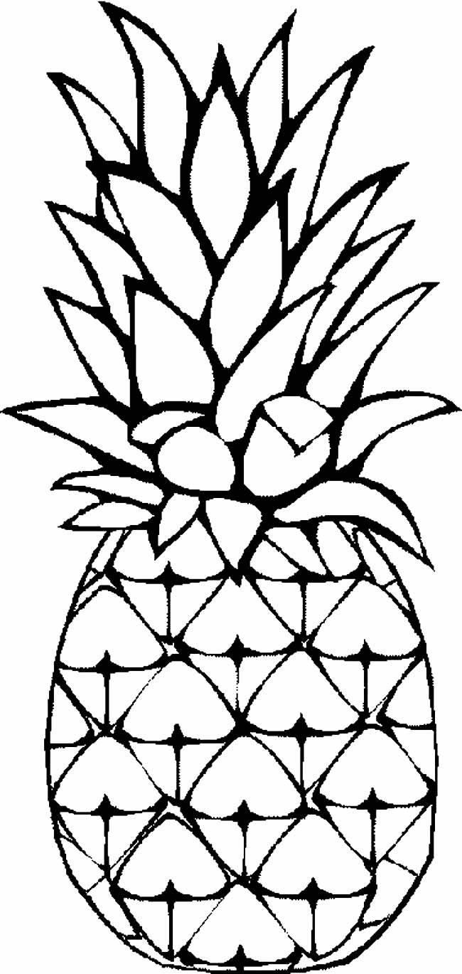 菠萝简笔画 菠萝简笔画法