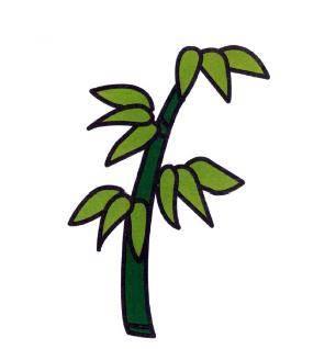 竹子简笔画图片大全 大熊猫竹子简笔画图片大全