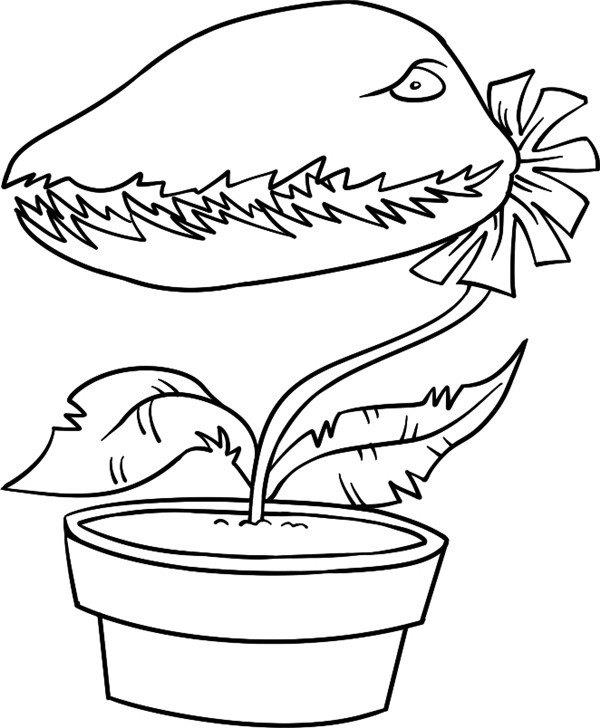 恐怖的食人草简笔画怎么画 恐怖的食人草简笔画画法