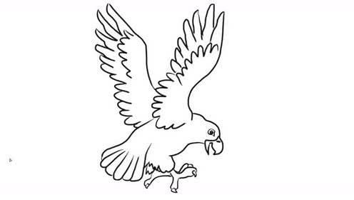 鹰简笔画图片大全 鹰简笔画图片大全霸气