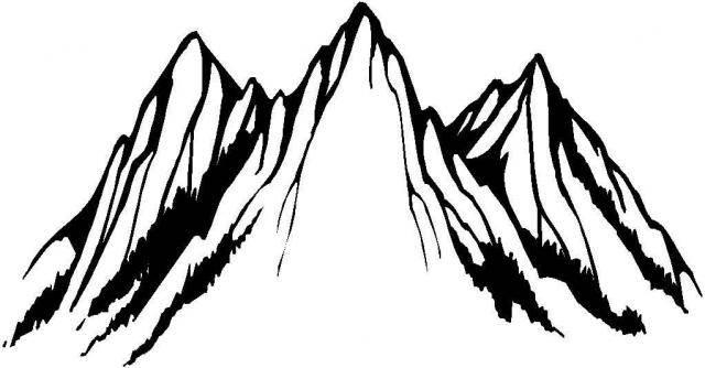 山简笔画 山茶花简笔画