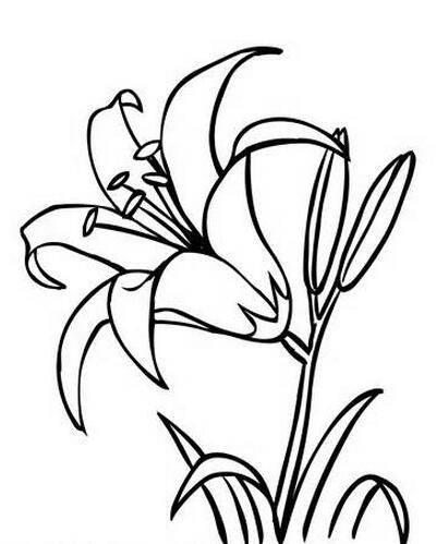 花朵简笔画图片大全 花朵简笔画怎么画