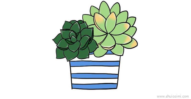 多肉盆栽儿童画怎么画 多肉盆栽简笔画好看