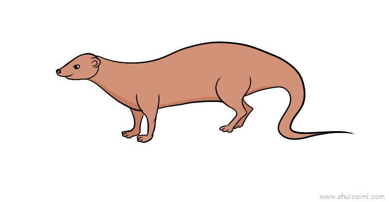 红颊獴儿童画怎么画 红颊獴简笔画好看