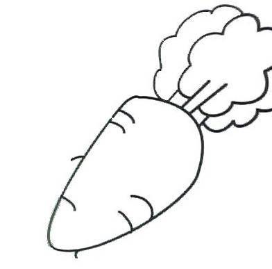 萝卜简笔画图片大全 萝卜简笔画图片大全简单