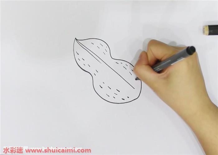 花生怎么画 花生简笔画图片带颜色