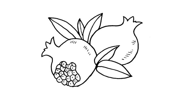 石榴如何画简笔画怎么画 石榴如何画简笔画步骤