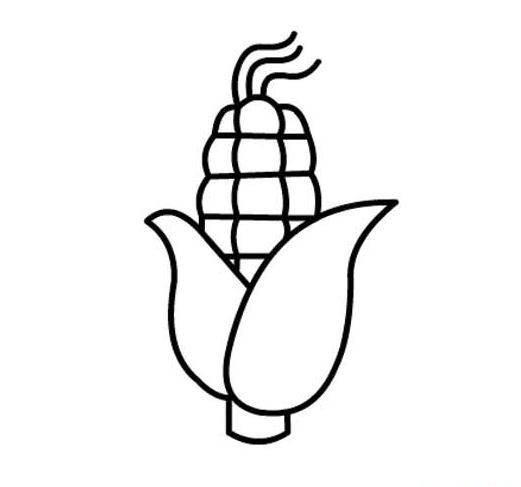 玉米图片简笔画 大玉米图片简笔画儿童画