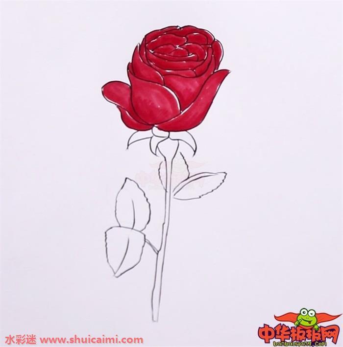 玫瑰花怎么画 玫瑰花简笔画步骤图