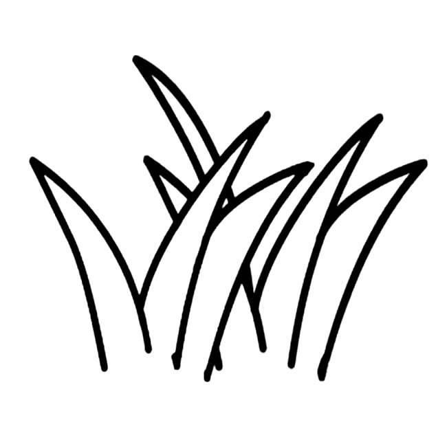 小草简笔画 小草简笔画图片大全大图