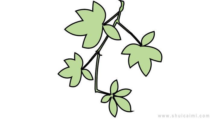 爬山虎简笔画怎么画 爬山虎简笔画画法