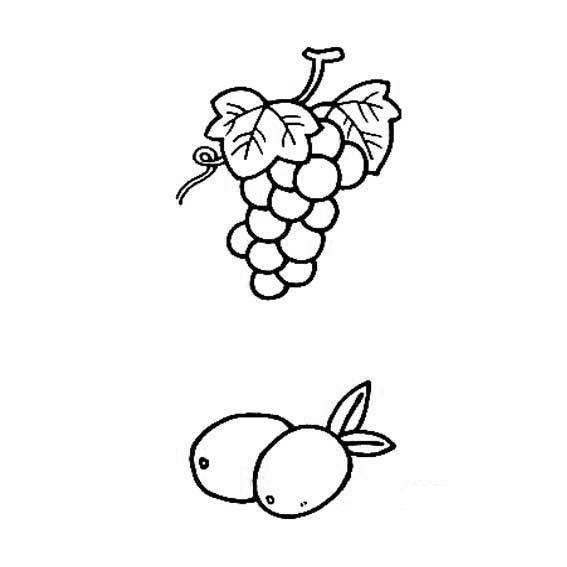 画水果的简笔画 我想画水果的简笔画